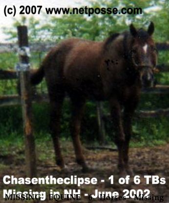 MISSING EQUINE 6 Horses Missing - Chasen the Clipse Not, Chase Your Secretary, Sinful Betty, Flirtn with Reign, Lemhi Treasure, Nile Flirt, Near Fitzwilliam, NH, 00000
